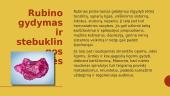 Rubino akmuo 5 puslapis