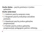 Patyčių priežasčių ir įveikos galimybių analizė progimnazijoje 2 puslapis