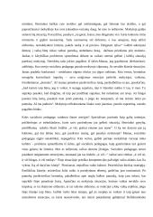 Refleksija socioedukaciniame darbe 2 puslapis