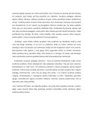 Refleksija socioedukaciniame darbe 3 puslapis