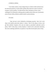 Dronų verslo idėjos aprašymas 4 puslapis