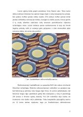 Optinės elektronikos įtaisai: naujų idėjų ir gaminių apžvalga 12 puslapis