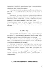 Optinės elektronikos įtaisai: naujų idėjų ir gaminių apžvalga 13 puslapis