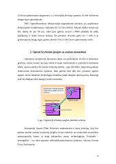 Optinės elektronikos įtaisai: naujų idėjų ir gaminių apžvalga 10 puslapis