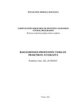 AB "Achema" praktikos ataskaita