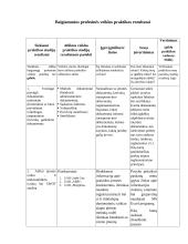 AB "Achema" praktikos ataskaita 6 puslapis