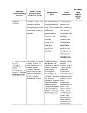 AB "Achema" praktikos ataskaita 10 puslapis