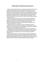 Įvadinė informacijos struktūrų praktikos ataskaita 12 puslapis