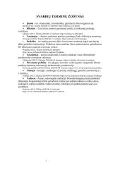 Įvadinė informacijos struktūrų praktikos ataskaita 3 puslapis