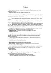 Įvadinė informacijos struktūrų praktikos ataskaita 4 puslapis