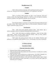 FedEx įmonė 7 puslapis