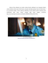 Vartotojų elgsena. Reklamos analizė 4 puslapis