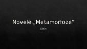 Francas Kafka - biografija, "Metamorfozė" 11 puslapis