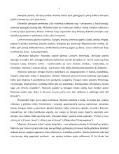 Maironio biografija bei kūryba  11 puslapis