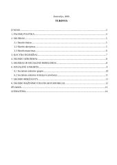 Pajamų politika 2 puslapis