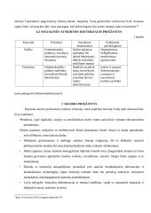 Pajamų politika 11 puslapis