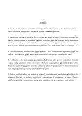 Pajamų politika 13 puslapis