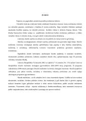 Pajamų politika 3 puslapis