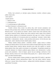 Pajamų politika 4 puslapis