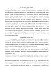 Pajamų politika 6 puslapis