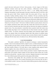 Pajamų politika 7 puslapis