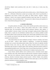 Pajamų politika 8 puslapis