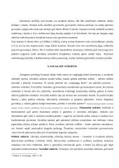 Pajamų politika 9 puslapis