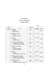 Finansinės apskaitos reglamentavimas 9 puslapis