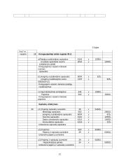 Finansinės apskaitos reglamentavimas 10 puslapis