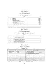 Finansinės apskaitos reglamentavimas 14 puslapis