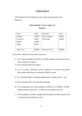 Finansinės apskaitos reglamentavimas 7 puslapis