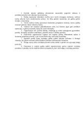 Asmeninio finansinio biudžeto sudarymas 4 puslapis