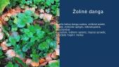 Miškininkystės namų darbas 7 puslapis