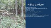 Miškininkystės namų darbas 8 puslapis