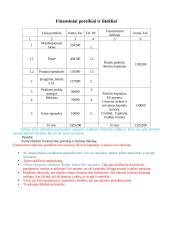 Finansinė įmonės ataskaita 2 puslapis
