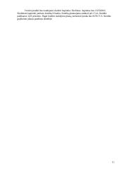 Finansinė įmonės ataskaita 11 puslapis