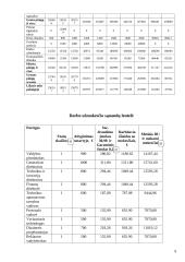 Finansinė įmonės ataskaita 9 puslapis