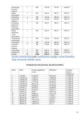 Finansinė įmonės ataskaita 10 puslapis