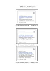 „Pigu.lt“ prekės ženklo elektroninės rinkodaros analizė 3 puslapis