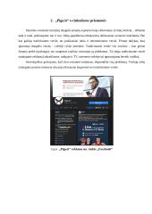 „Pigu.lt“ prekės ženklo elektroninės rinkodaros analizė 4 puslapis