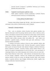 Pasaulinio banko veiklos ypatumai 7 puslapis