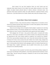Hanza Kaunas priešistorė 16 puslapis