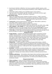 Informacijos fondo išteklių egzamino teorija 3 puslapis