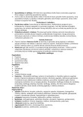 Informacijos fondo išteklių egzamino teorija 4 puslapis