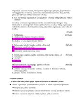 Informacijos srautų stebėsena ir vertinimas - egzaminas 2 puslapis