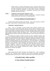 Pasaulio bankas ir jo veiklos įvertinimas 6 puslapis