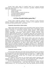 Pasaulio bankas ir jo veiklos įvertinimas 7 puslapis