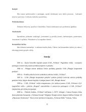 Pasirinkto nacionalinio prekės ženklo vertinimo ir tobulinimo programos parengimas 11 puslapis