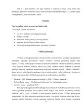 Pasirinkto nacionalinio prekės ženklo vertinimo ir tobulinimo programos parengimas 13 puslapis