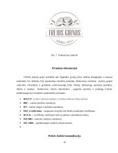 Pasirinkto nacionalinio prekės ženklo vertinimo ir tobulinimo programos parengimas 17 puslapis